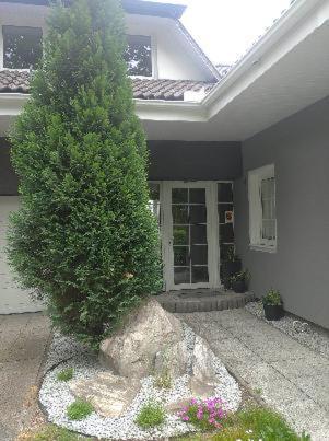 Villa U Koupaliste Mimon Exterior foto